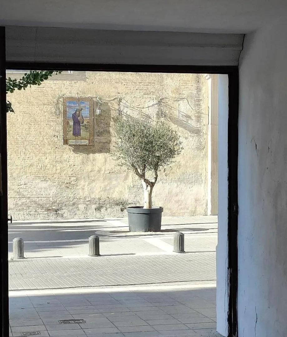 Apartamento Satya. En El Corazon De Sanlucar Sanlúcar de Barrameda 0*,